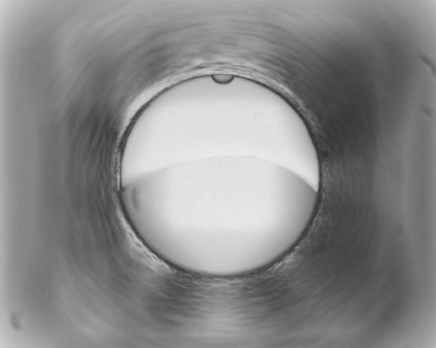 X0000102261522200808151828