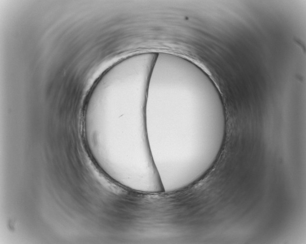 X0000102261523200808151828