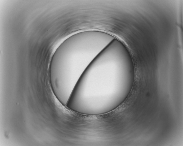 X0000102261524200808151828