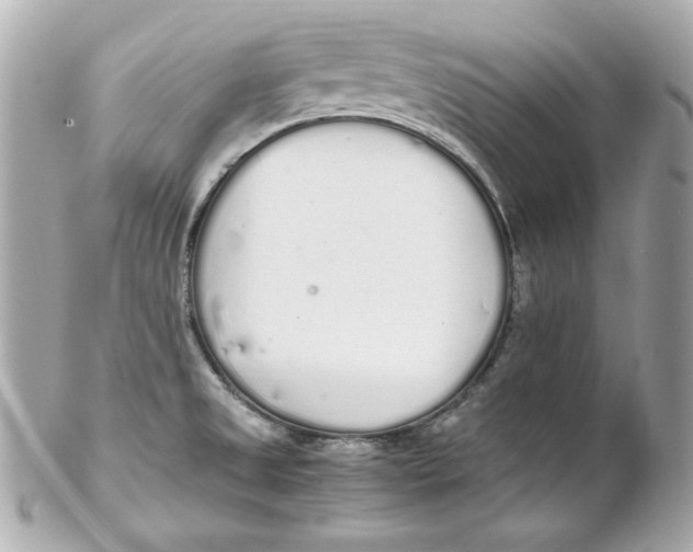 X0000102261525200808151828