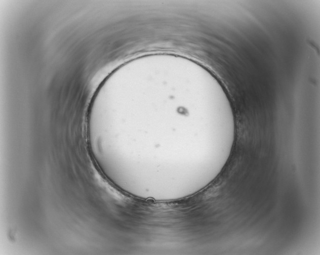 X0000102261527200808151829