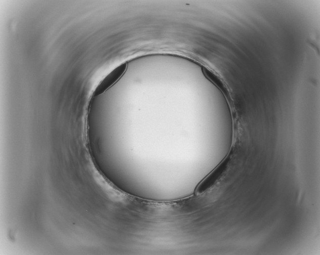 X0000102261528200808151829