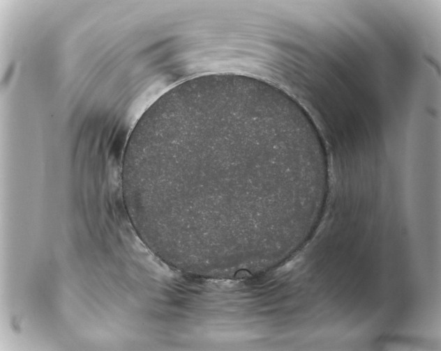 X0000102261529200808151829