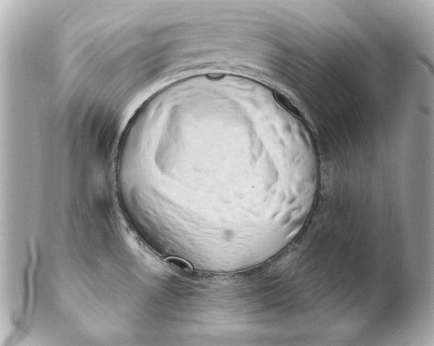 X0000102261530200808151829