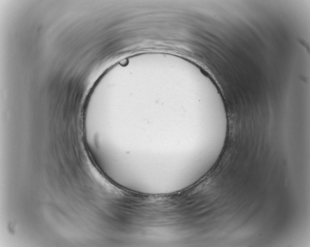 X0000102261531200808151829