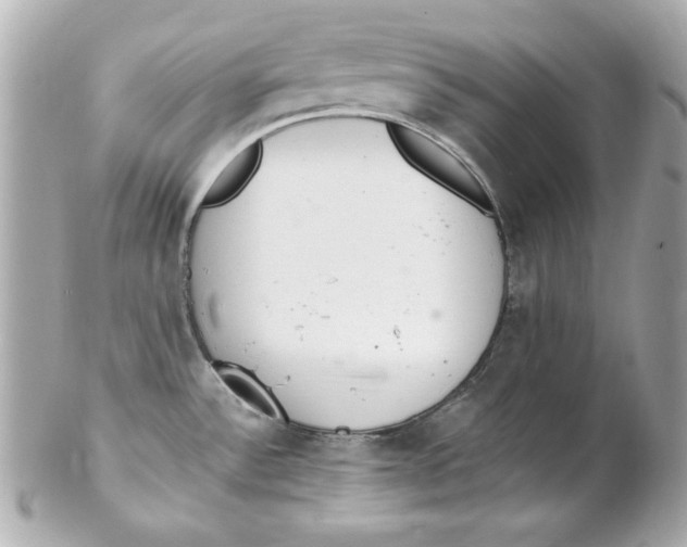 X0000102261532200808151829