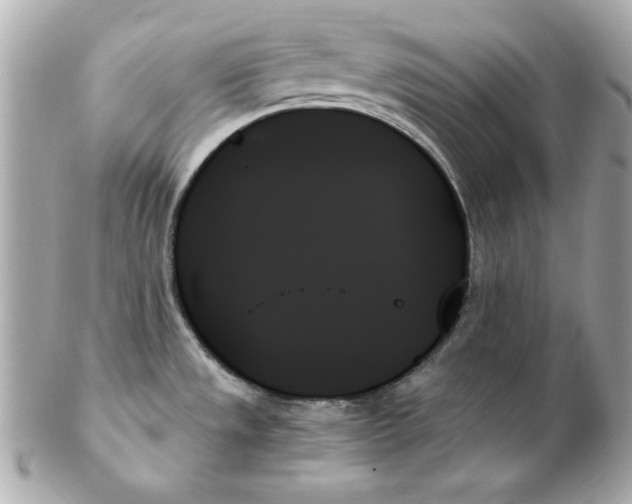 X0000102261533200808151829