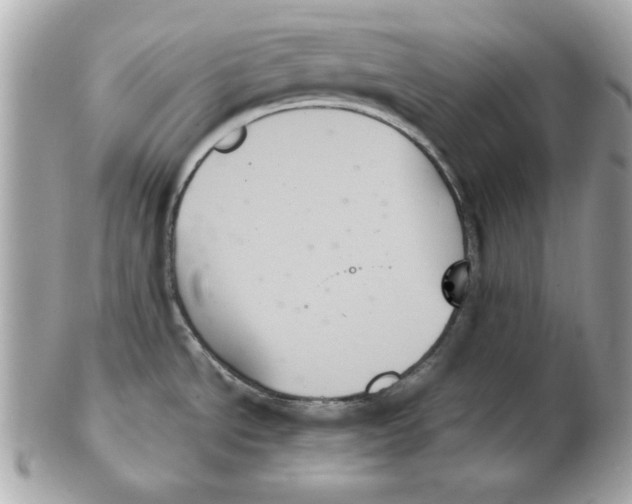 X0000102261534200808151829