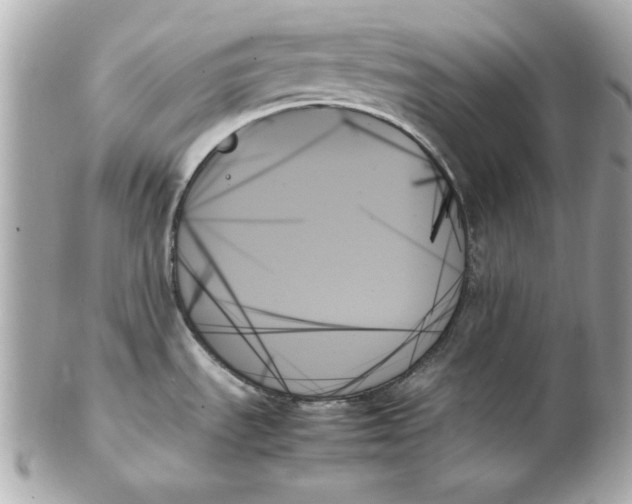 X0000102261535200808151829