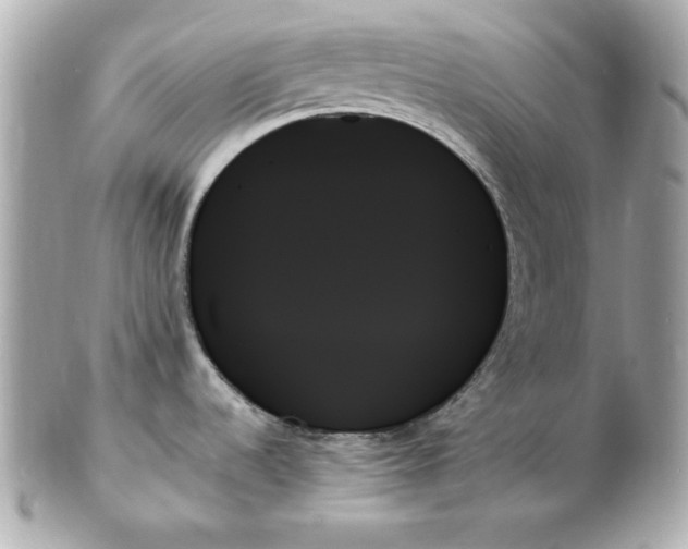 X0000102261536200808151829