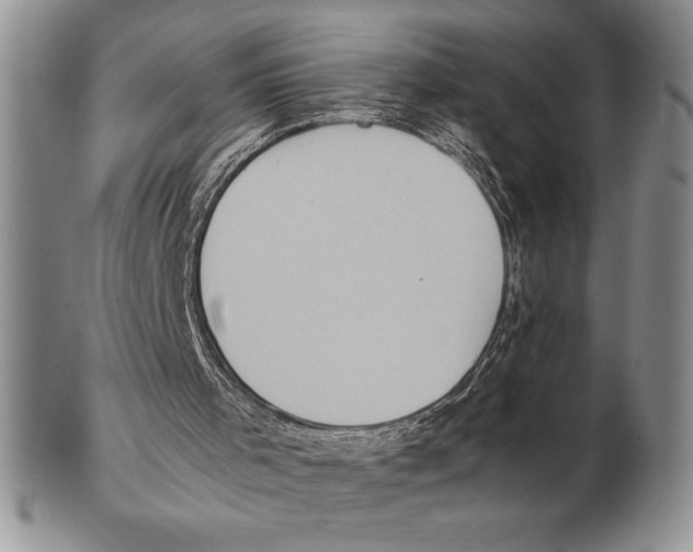 X0000102260001200808221426