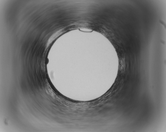 X0000102260004200808221426