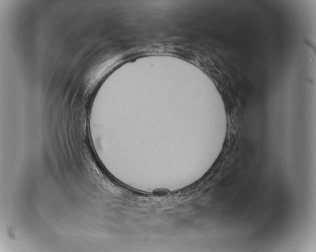 X0000102260005200808221426