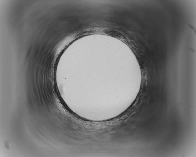 X0000102260006200808221426