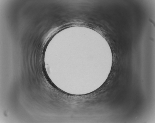 X0000102260007200808221426