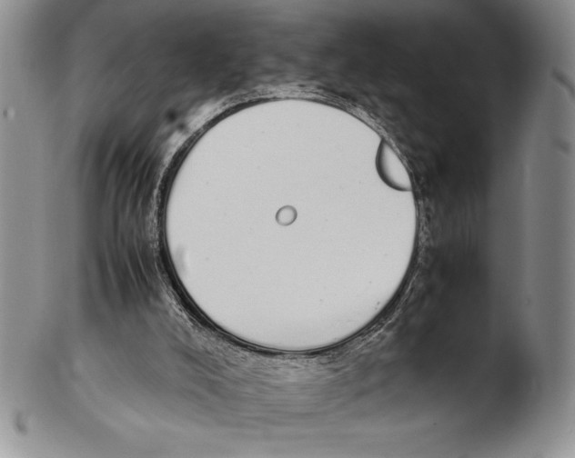 X0000102260008200808221426