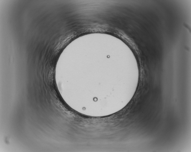 X0000102260009200808221426