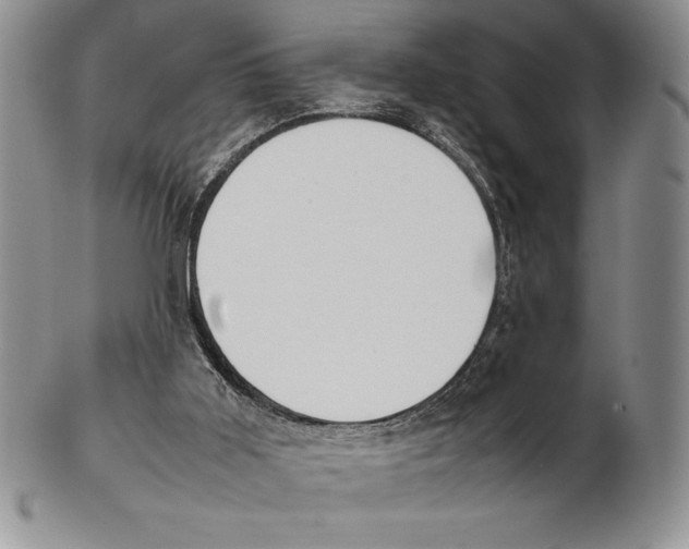 X0000102260011200808221425