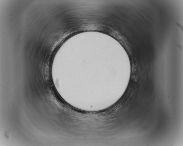 X0000102260012200808221425