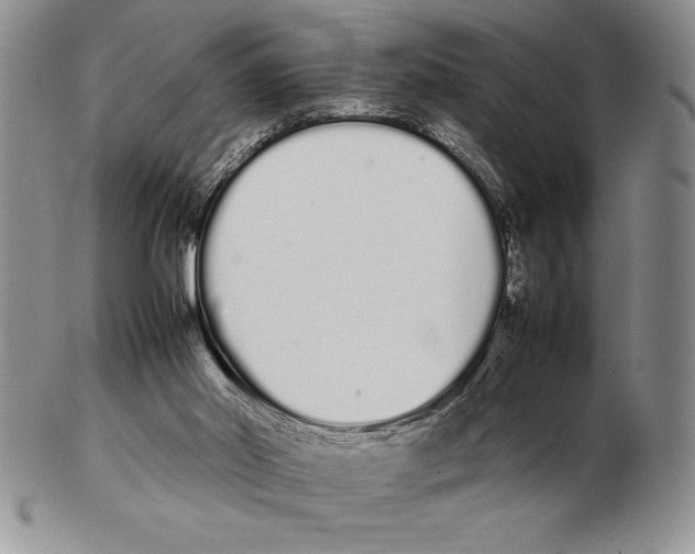 X0000102260014200808221425