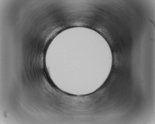 X0000102260016200808221425