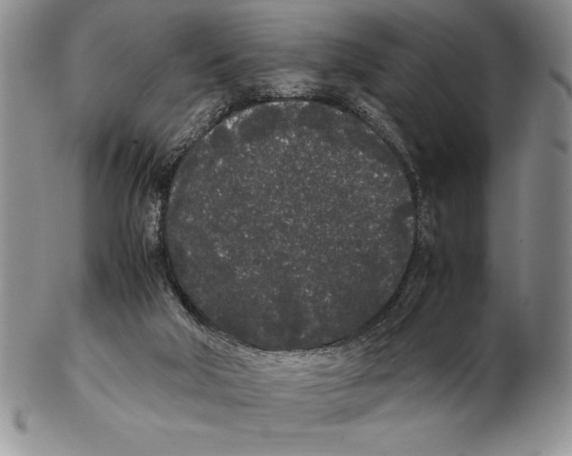 X0000102260018200808221425