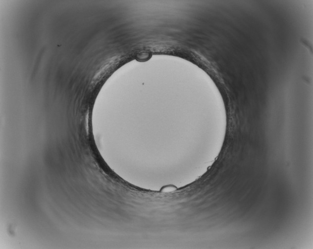 X0000102260019200808221425