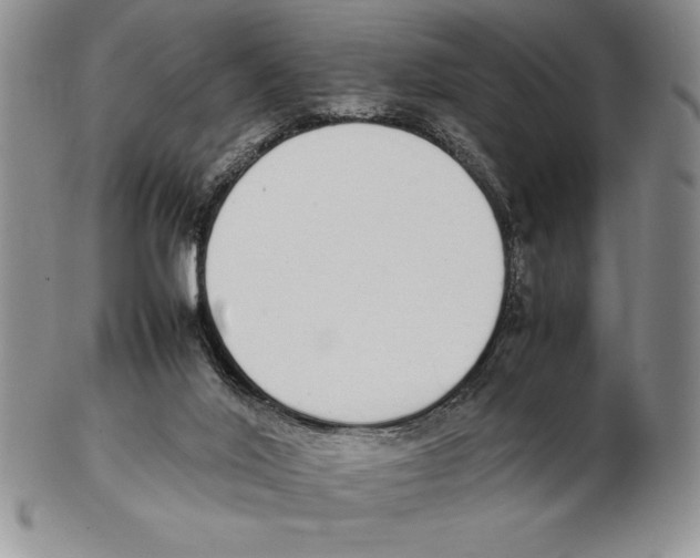 X0000102260020200808221425