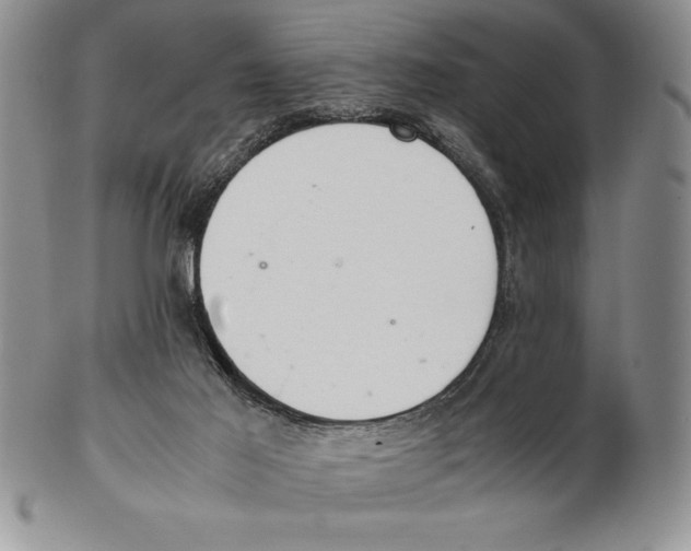 X0000102260021200808221425