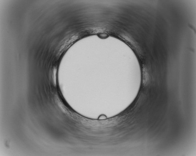 X0000102260022200808221425