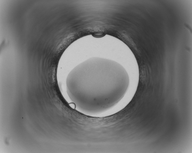 X0000102260023200808221425