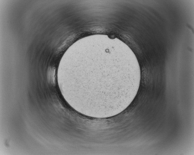X0000102260024200808221425