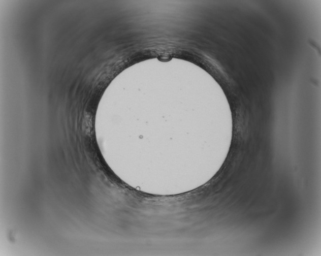 X0000102260025200808221425