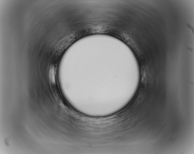 X0000102260026200808221425