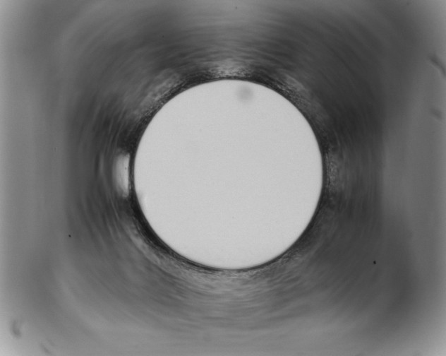 X0000102260028200808221425