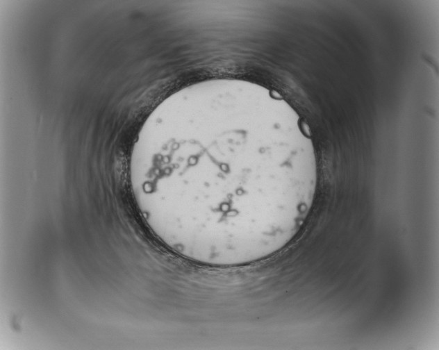 X0000102260029200808221425