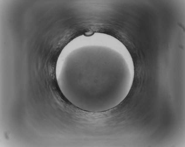 X0000102260031200808221425