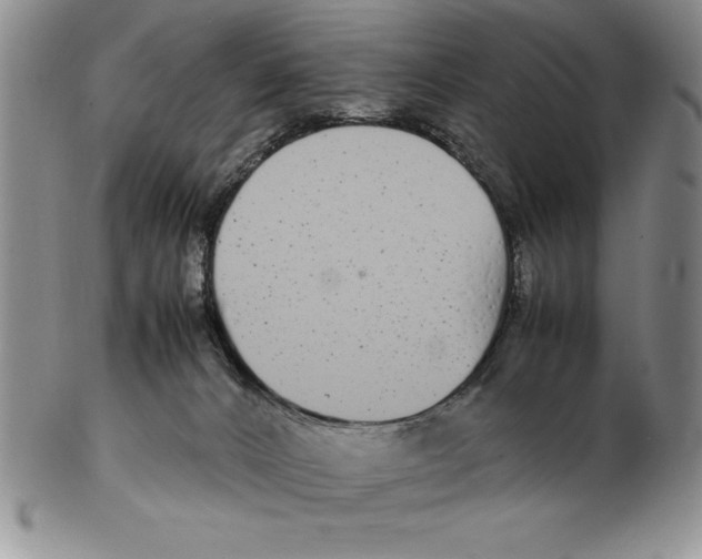 X0000102260032200808221425