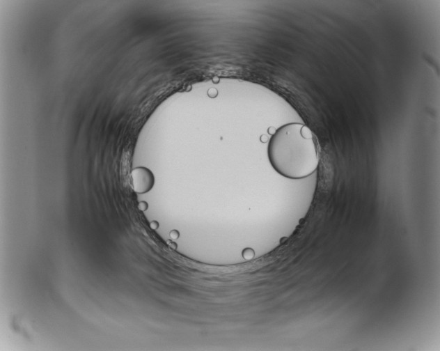 X0000102260034200808221425