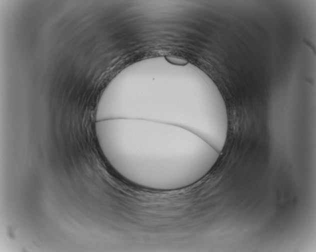 X0000102260036200808221425
