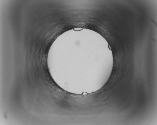 X0000102260037200808221425