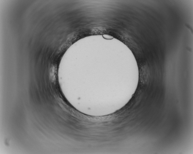 X0000102260038200808221425