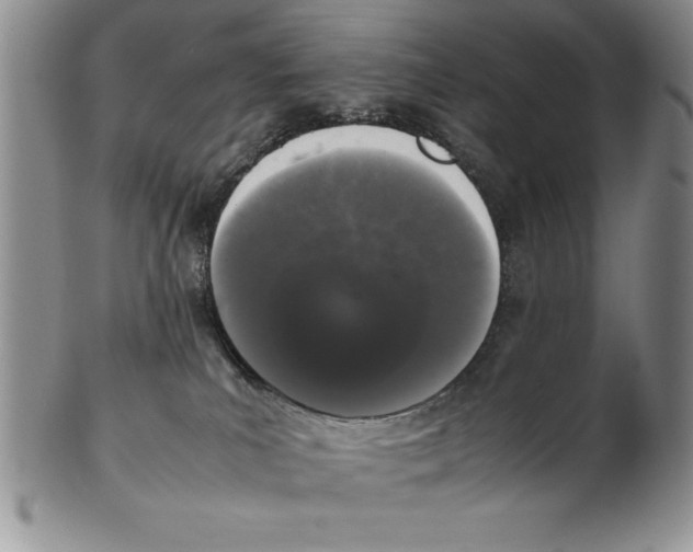 X0000102260039200808221425