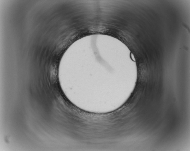 X0000102260040200808221425