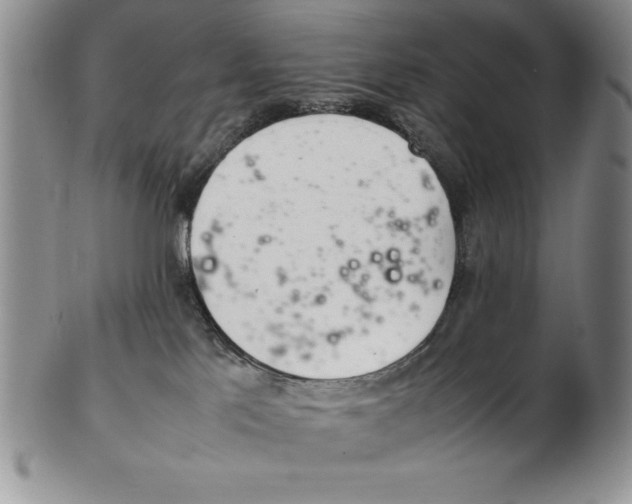 X0000102260041200808221425
