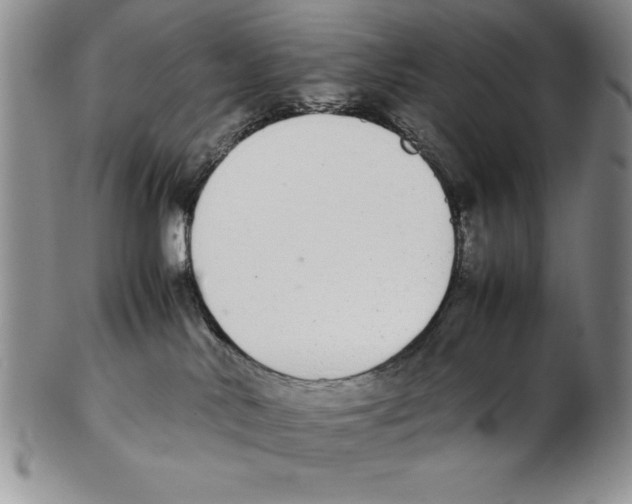 X0000102260042200808221425