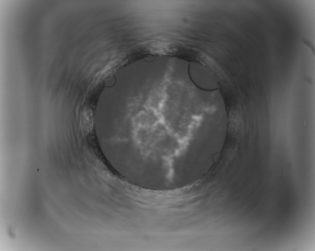 X0000102260043200808221425