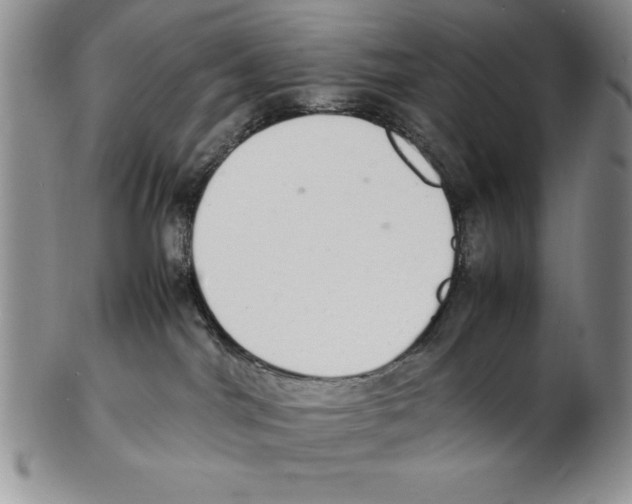 X0000102260044200808221425