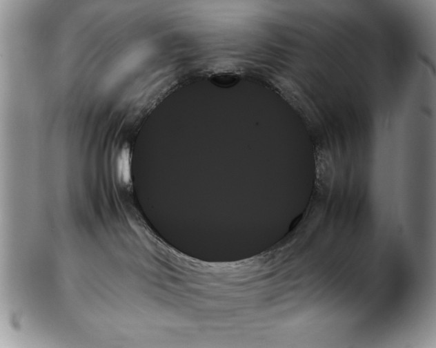 X0000102260046200808221425