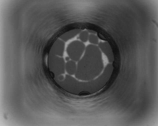 X0000102260047200808221425